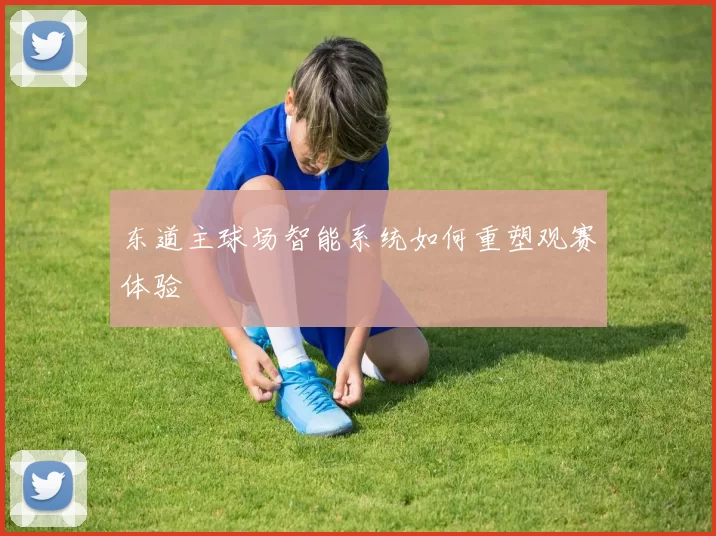 东道主球场智能系统如何重塑观赛体验