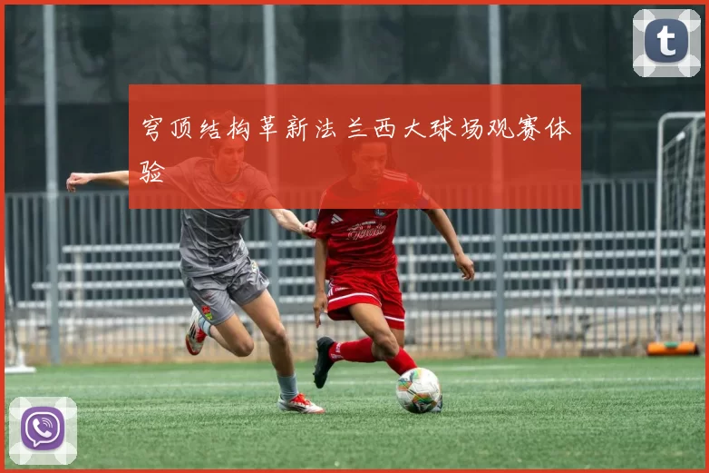 穹顶结构革新法兰西大球场观赛体验