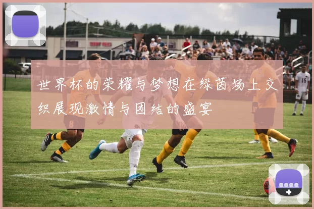 世界杯的荣耀与梦想在绿茵场上交织展现激情与团结的盛宴
