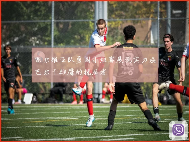 塞尔维亚队勇闯小组赛展现实力成巴尔干雄鹰的搅局者