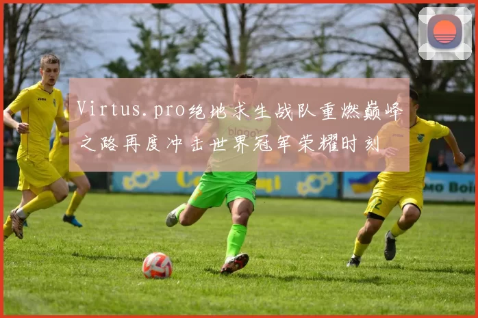 Virtus.pro绝地求生战队重燃巅峰之路再度冲击世界冠军荣耀时刻
